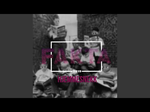 Fakta 2019 - Hjemmesnekk