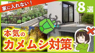 あなたの家は大丈夫？カメムシ侵入防止マニュアル 外構プロが教える8つの対策