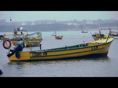 Maestros Gold 2017 / Drefquila - Crisor / Coquimbo