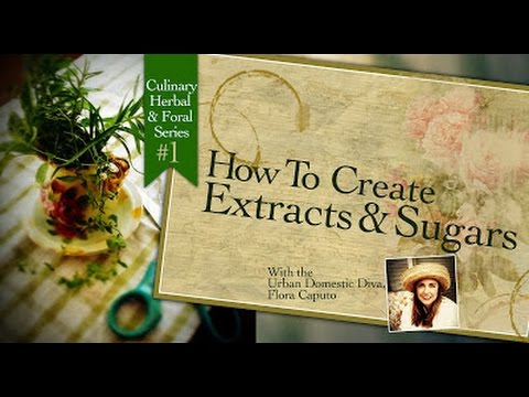 How To Make Herbal Extracts & Sugars: Culinary Herbal & Floral Series #1