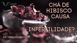 CHÁ DE HIBISCO CAUSA INFERTILIDADE