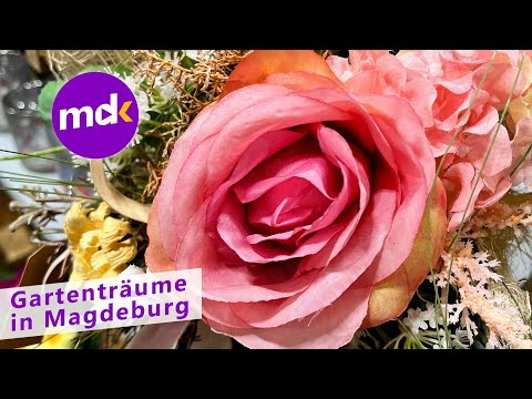 GARTENTRÄUME in Magdeburg | Nachrichten