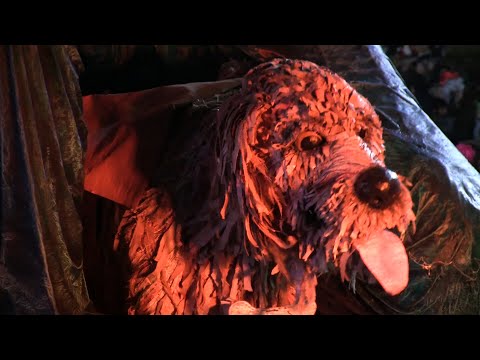 Carnevale di Viareggio 2023 - Sintesi del 6° corso