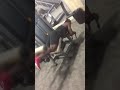 Muscle God training legs to crush heads