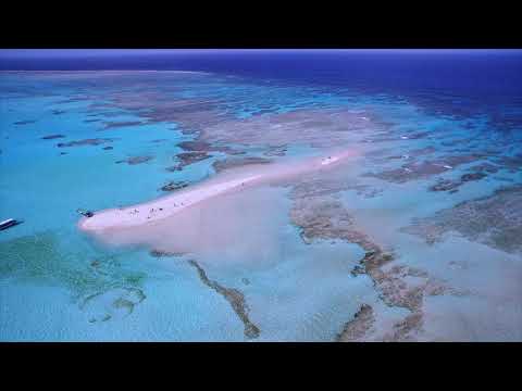 Special Yoron Island