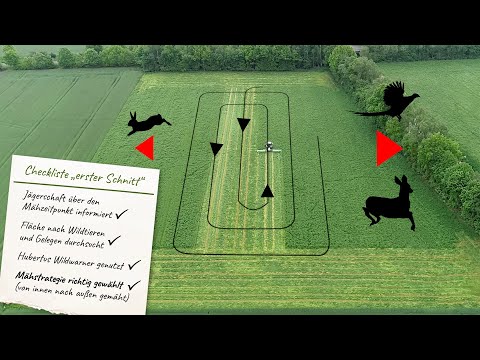 Wildtierschutz beim ersten Schnitt – Mähstrategie in der Grasernte