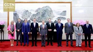 Wang Yi se reúne con una delegación de la Comisión de Asuntos Exteriores del Parlamento Europeo