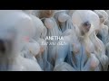Anetha - Let me d&be (Official Audio)