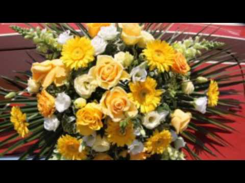 Pyar Hua Ikrar Hua Hai - Instrumental by Kumar Sangeeth