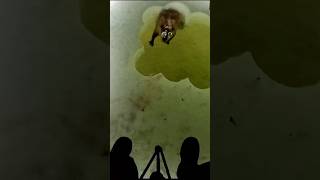 HUGE BEAVER comes up sight fishing hole… Full YouTube video of the day is up..