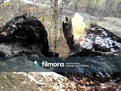 Big Rock, Cy Young Newcomerstown History Pt 2