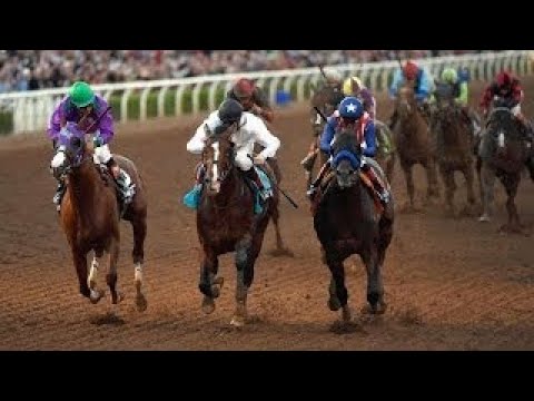2017 Breeders Cup Classic + Post Race