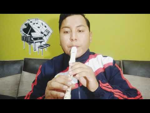 Señorita de Shawn Mendes y Camila Cabello en flauta dulce 🎙