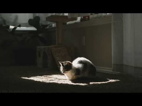 Dub Techno Session #52