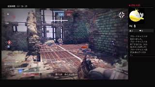 【destiny2】トルンすき
