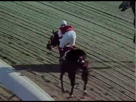 Copa Dama del Caribe 2008 - Yeka I. (PAN)