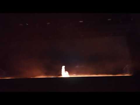 Die Antwoord - Intro live from @osondocamino2019