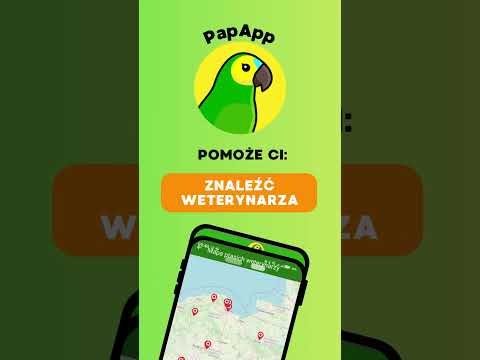 PapApp