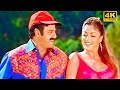 Abbabba 4K Video Song Veerabhadra Balakrishna Tanushree Sadha Mani Sharma