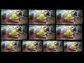 REUPLOAD All 10 Om Nom Stories S1 Episodes At The Same Time