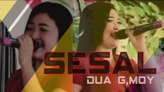 Download lagu RAFIFA MUSIC | TUNAS AUR | SESAL | wd'Peri&Febriyanti' | Shapa WG pro mp3