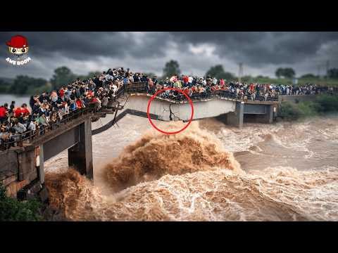 Moments Before Disaster | 55 Unbelievable Natural Moments Caught on Camera  #10