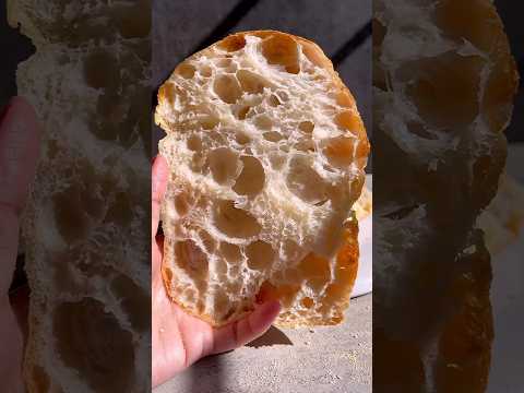Easy No-Knead Ciabatta #sourdough#nokneadbread#shorts#easyrecipe#foodie#ciabatta#homemade#satisfying