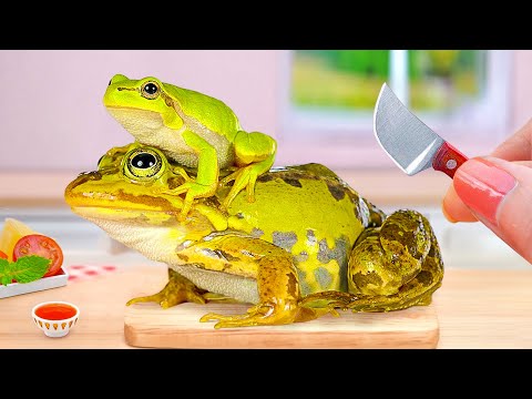 Miniature Frog Recipe 🐸 Delicious Miniature Cheetos Fried Frog in Miniature Kitchen 😍 Mini Cooking