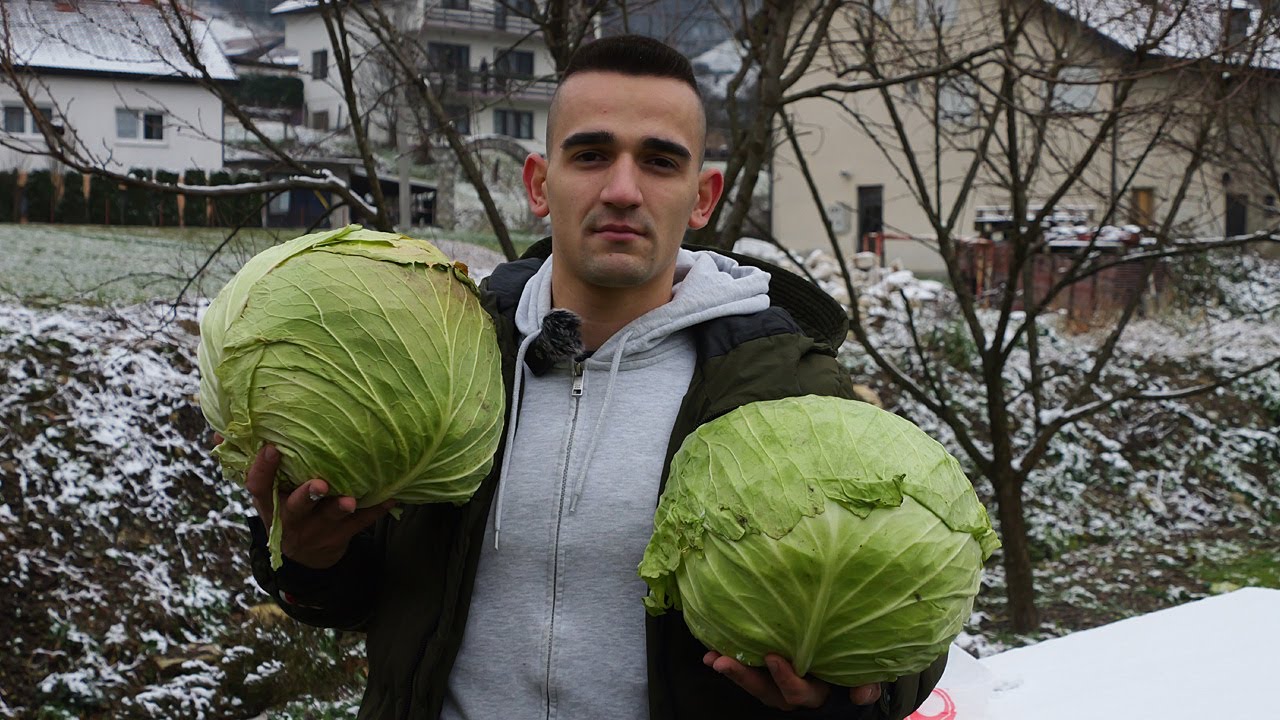 Leo Tomičić uzgojio najveći kupus u BiH
