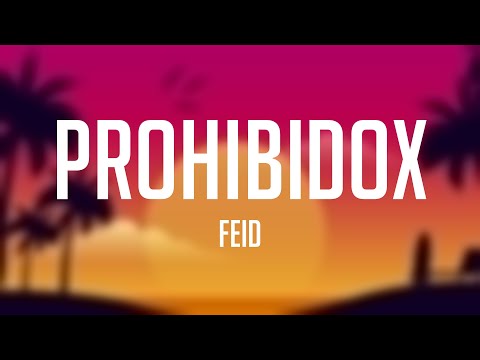 Prohibidox - Feid (Lyrics Video) ⚡