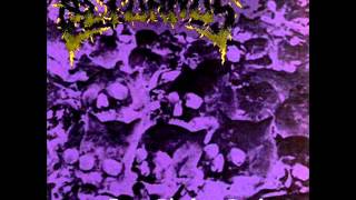 Aeturnus - From Blackest Darkness (Christian Thrash Metal)