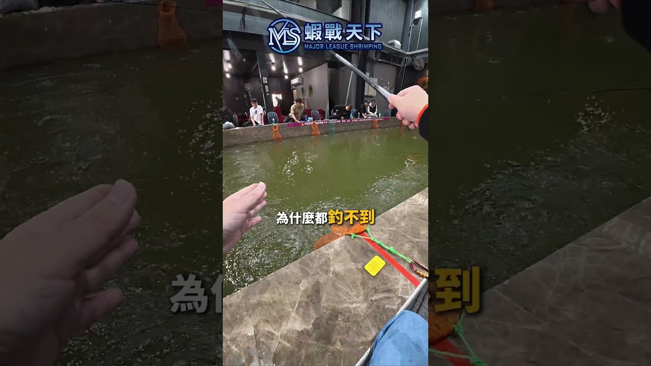 雖然是防纏但還是要檢查一下!!【MLS蝦戰天下】#17shrimp #台湾のエビ釣り #shrimpfishing #새우낚시