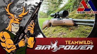 Air Gun Shooting & Review – Air Arms TX200