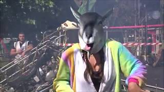 Psycho Acoustic Goat 