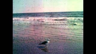 Atlas Sound  - Terra Incognita