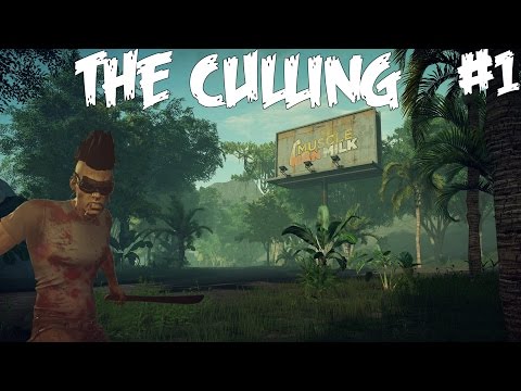 PÄÄTÖNTÄ SOHIMISTA - Pelataan The Culling