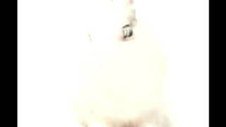 Wunderbar - Deine Lakaien