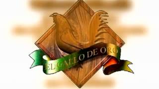 Sufriendo A Solas Inedito   Valentin Elizalde