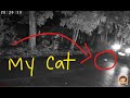 CAT RUN OVER BY MY NEIGHBOR My Cat S Last Moment Before She Got Killed CAUGHT ON CAM Cat