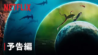 予告編（字幕）