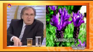 Epidemit İçin Kür - TRT DİYANET