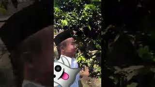 Download lagu Cawet gaes mp3 Download lagu Cawet gaes mp3