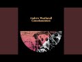 The Confidence Man (Justin Robertson’s Deadstock 33s Remix)