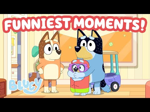 🔴LIVE: Hilarious Bluey Moments 😆 💙 | Bluey's Try Not to Laugh | Bluey