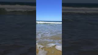 Fish Seeker Golden Beach