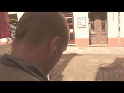 Zaunpfahl- Überwacher