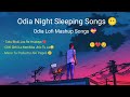Night Sleeping Odia Sad 😢 Lofi Song Mashup || Human Sagar || #humansagar #odia #lofi #sad