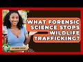 What Forensic Science Stops Wildlife Trafficking Explaining Ecology