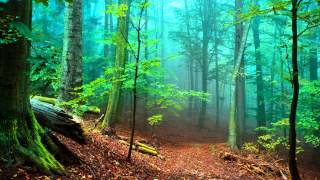 Shpongle - A New Way To Say Hooray