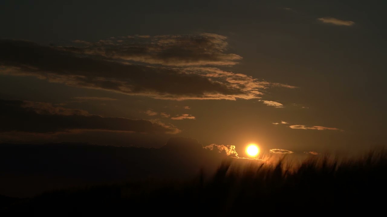 Sunset thru the corn field and the cloud